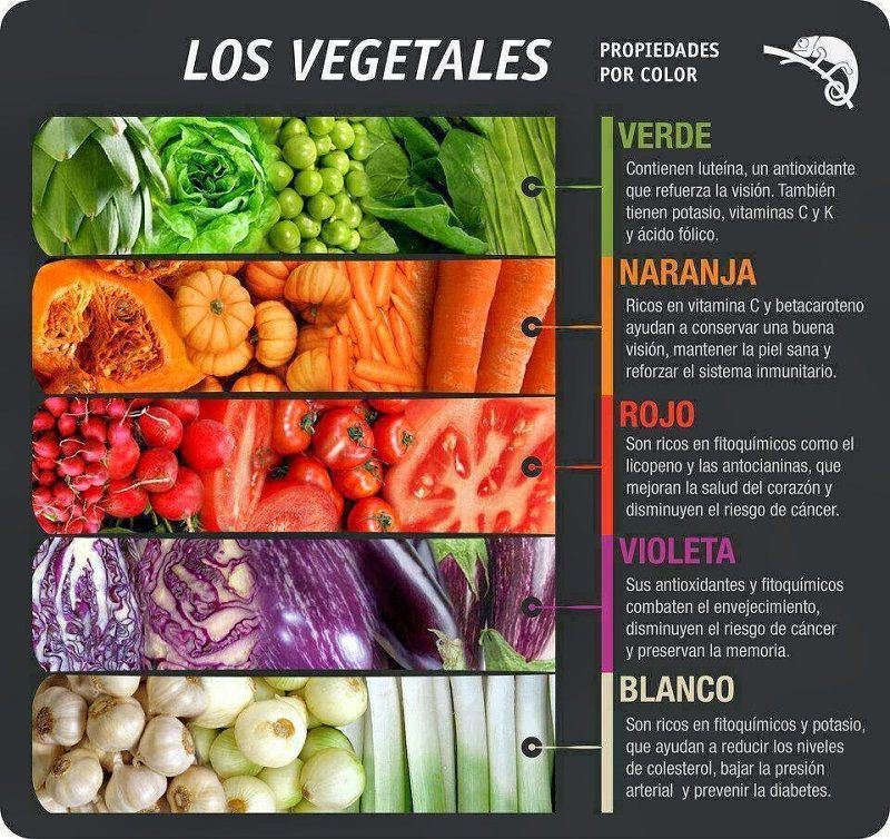 Propiedades de los alimentos de origen vegetal