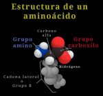 Estructura de los Aminoácidos